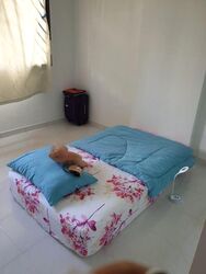 Blk 417 Hougang Avenue 8 (Hougang), HDB 4 Rooms #464231061